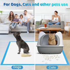 Bulubaky tapis en usage avec chiot, évite traces et dégâts
