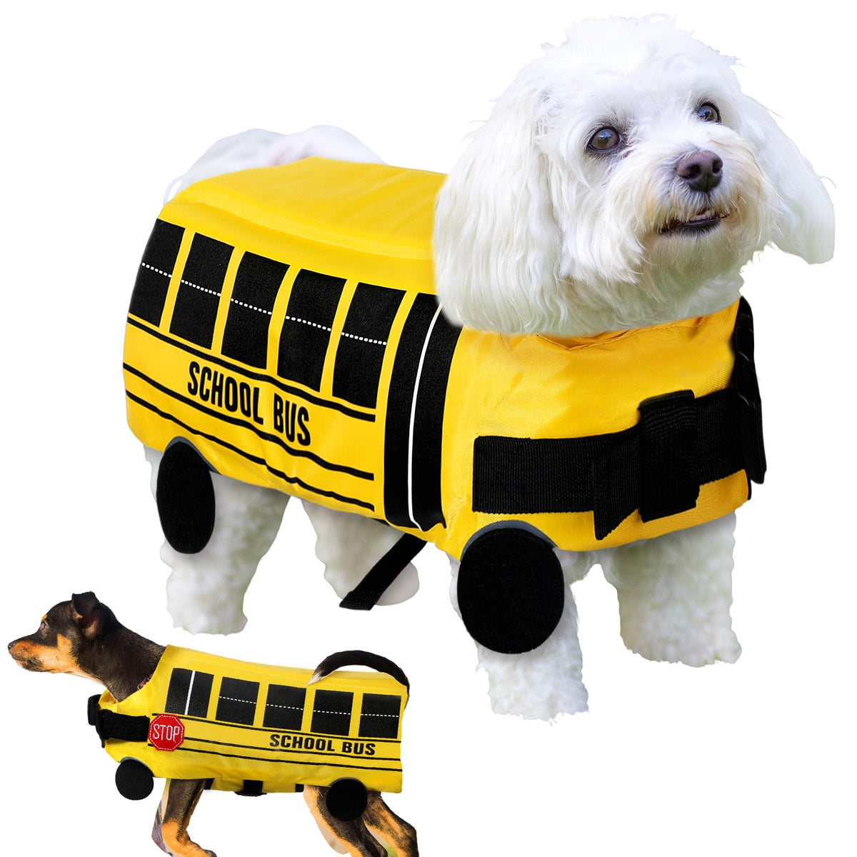 Bulyoou costume bus devant montrant apparence amusante et visible