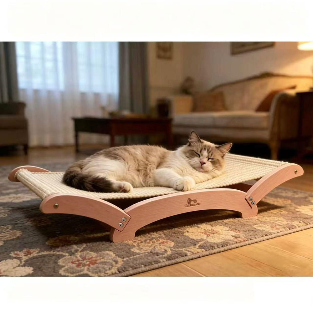 BumaiGo comparaison taille avec chat illustrant espace généreux