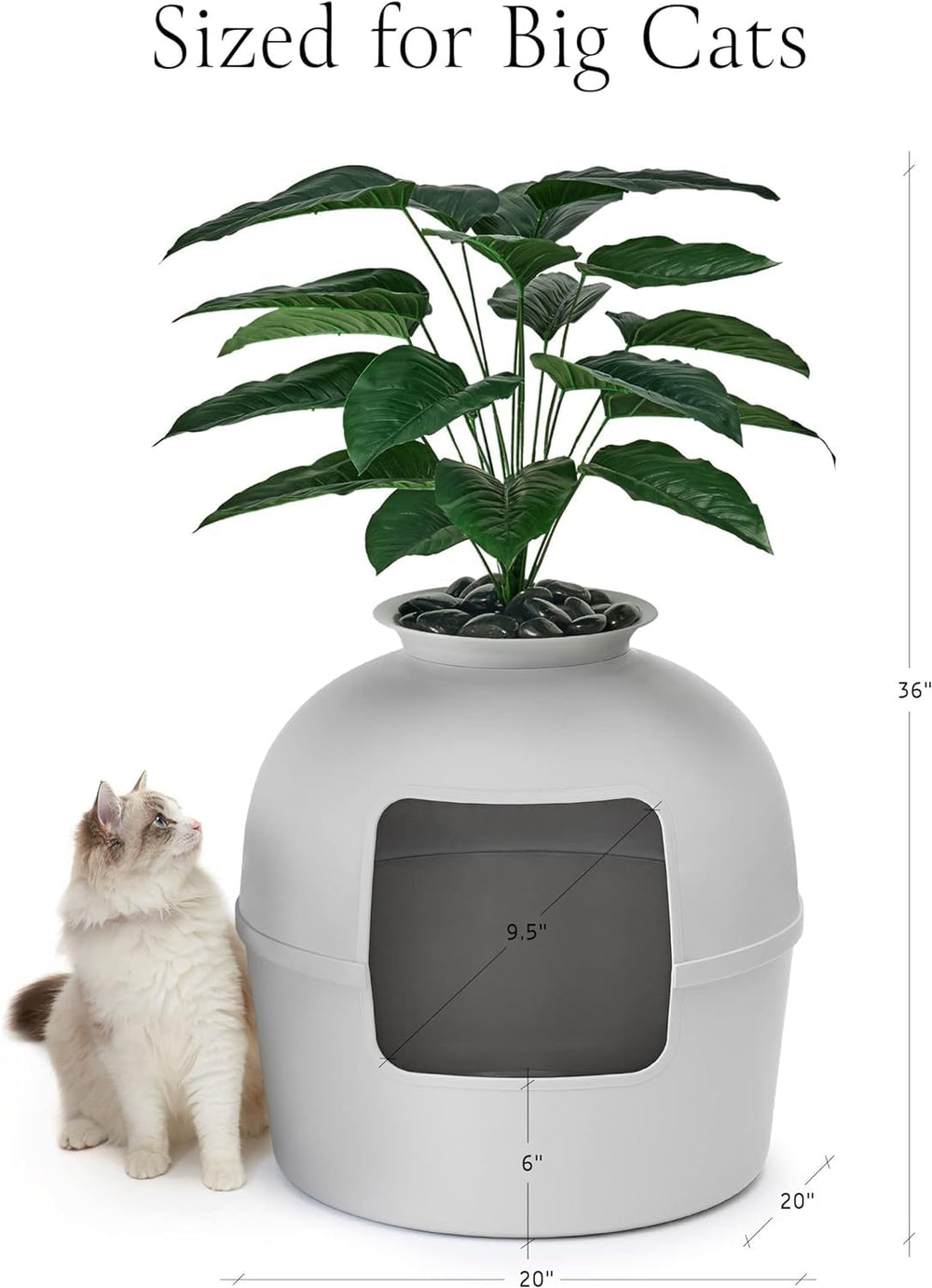 Bundle & Bliss comparaison taille montrant capacité pour grands chats
