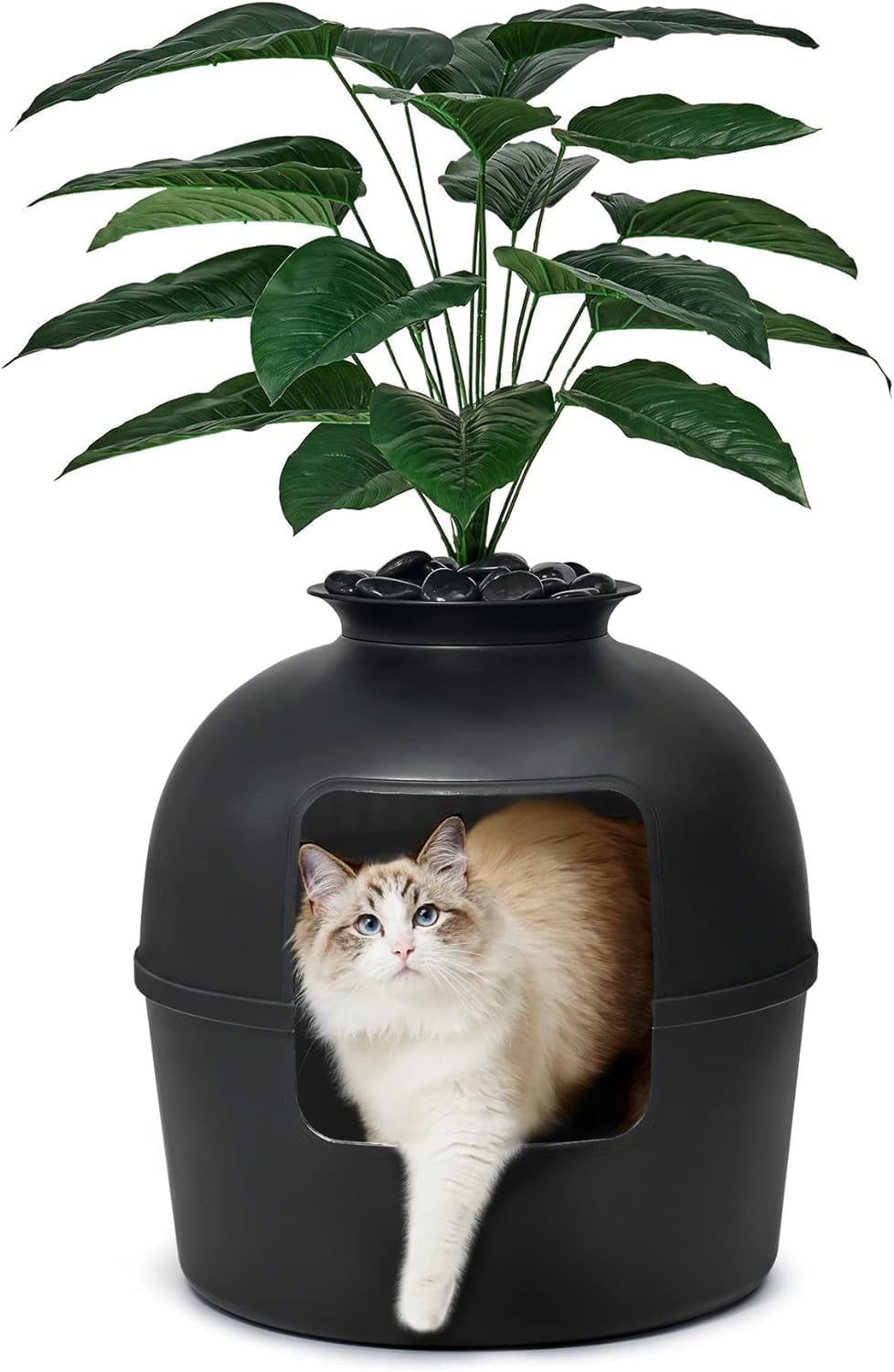 Bundle & Bliss vue frontale du cache-pot mat noir intégrant la litière, discrétion pour la maison