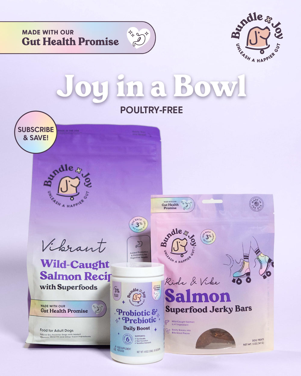 Bundle x Joy chien actif après course montrant énergie et récupération