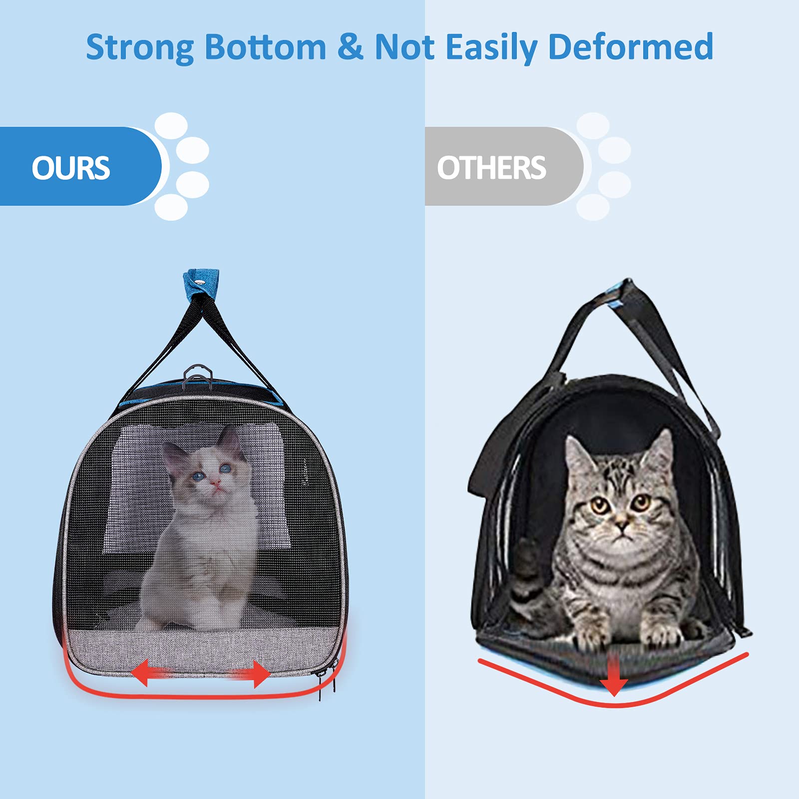 BurgeonNest comparaison taille avec un chat pour visualiser capacité et échelle