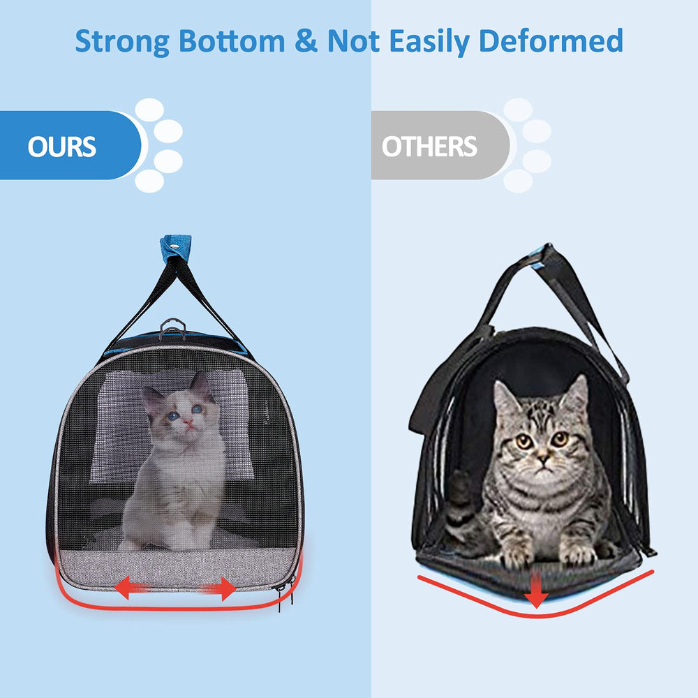 BurgeonNest comparaison taille avec un chat pour visualiser capacité et échelle