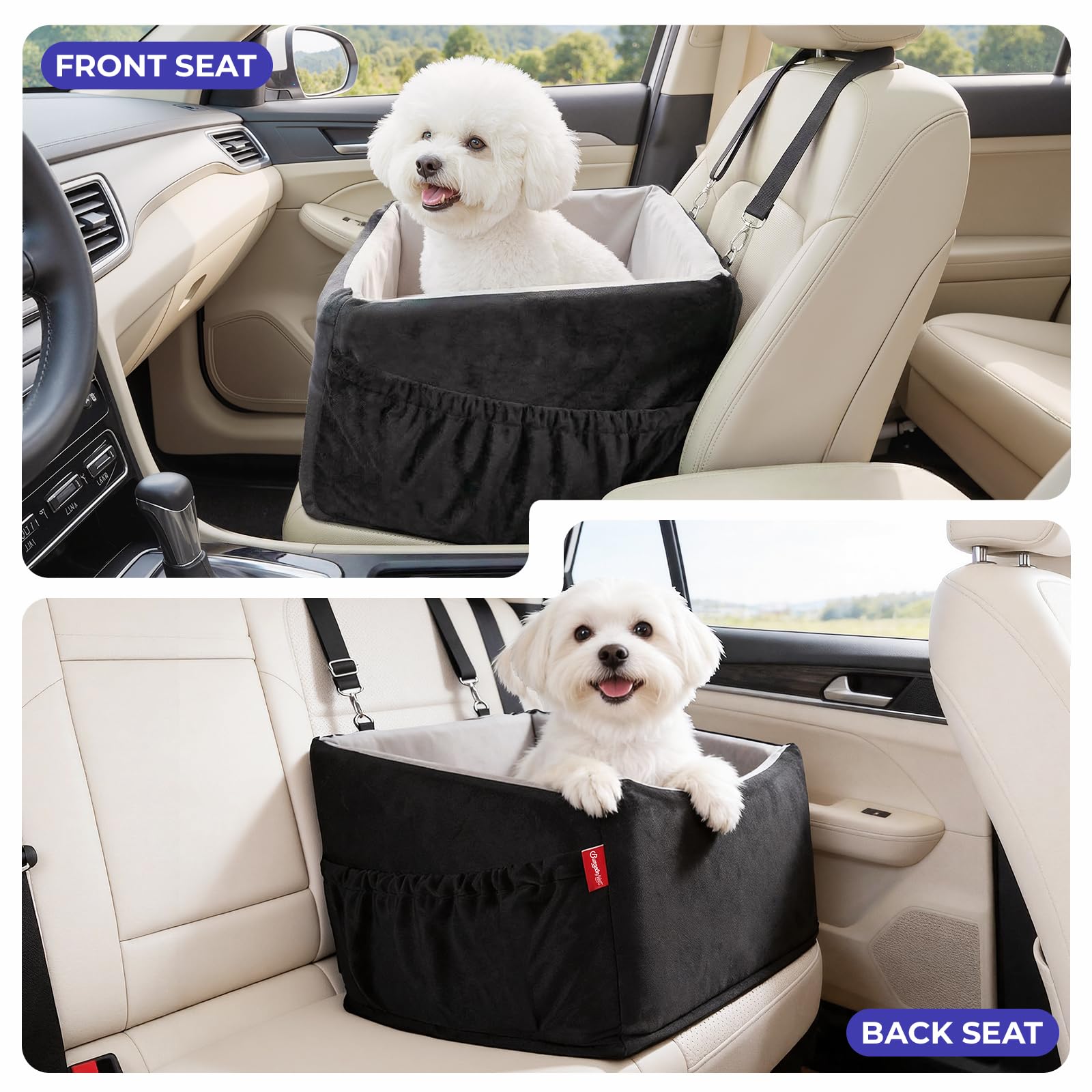BurgeonNest comparaison taille chien pour choisir le bon siège