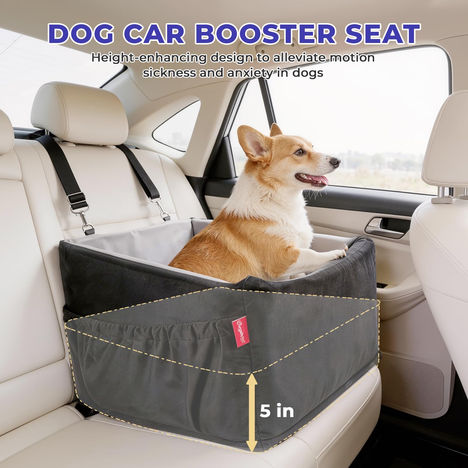 BurgeonNest usage en voyage montrant chien calme et bien installé