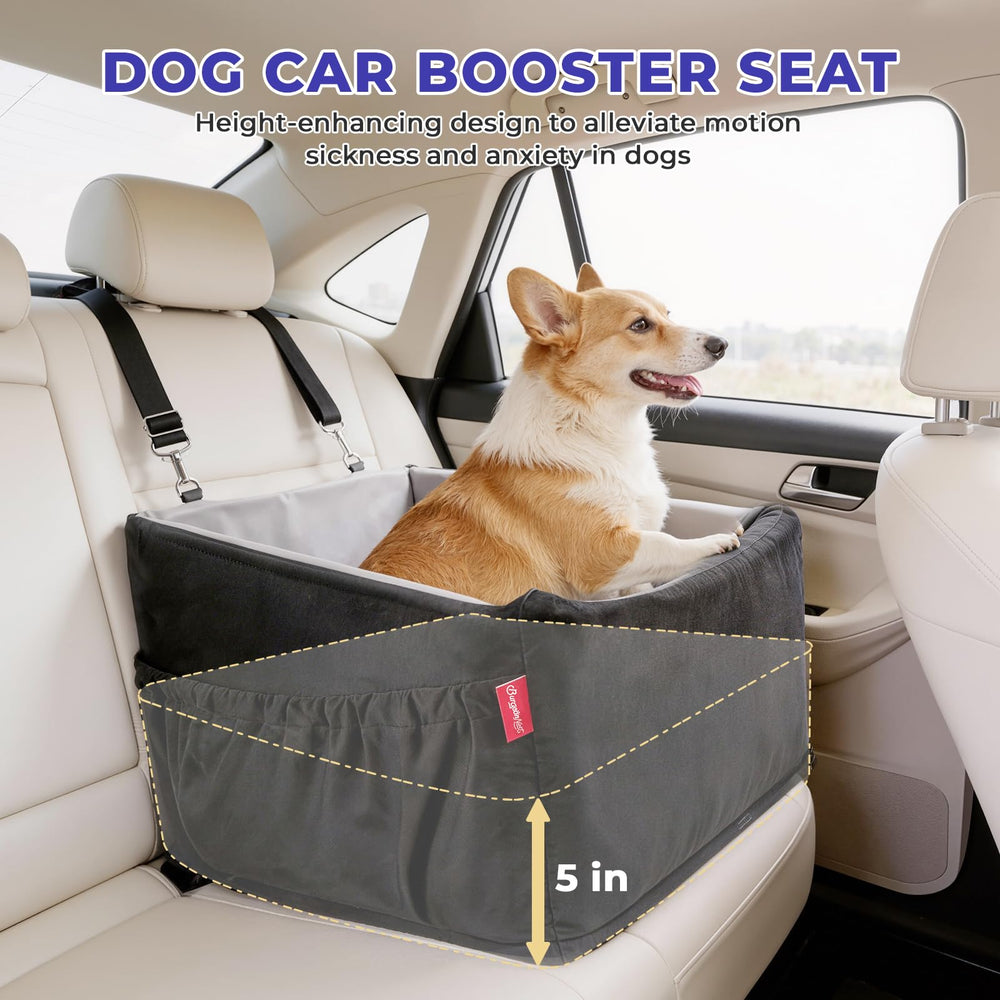 BurgeonNest usage en voyage montrant chien calme et bien installé