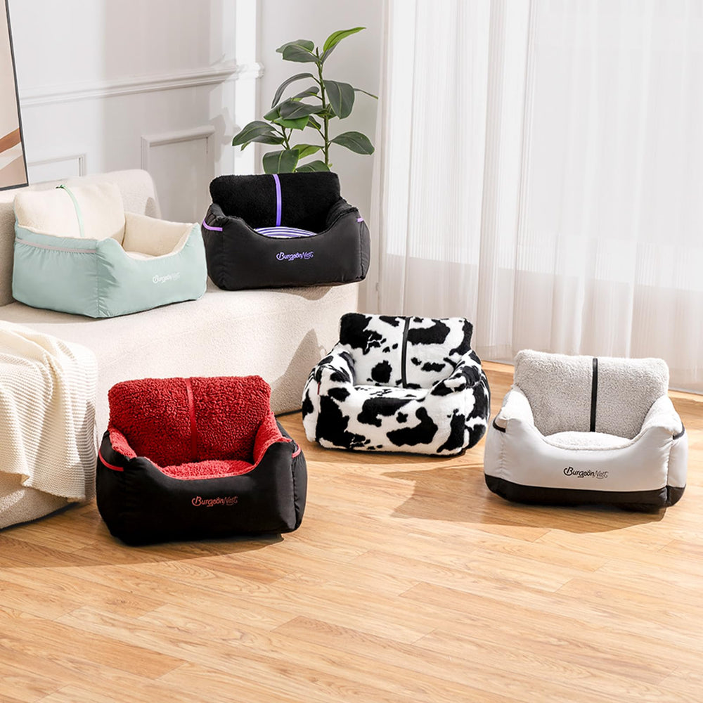 BurgeonNest scène de voyage compagnon relaxé et bien installé