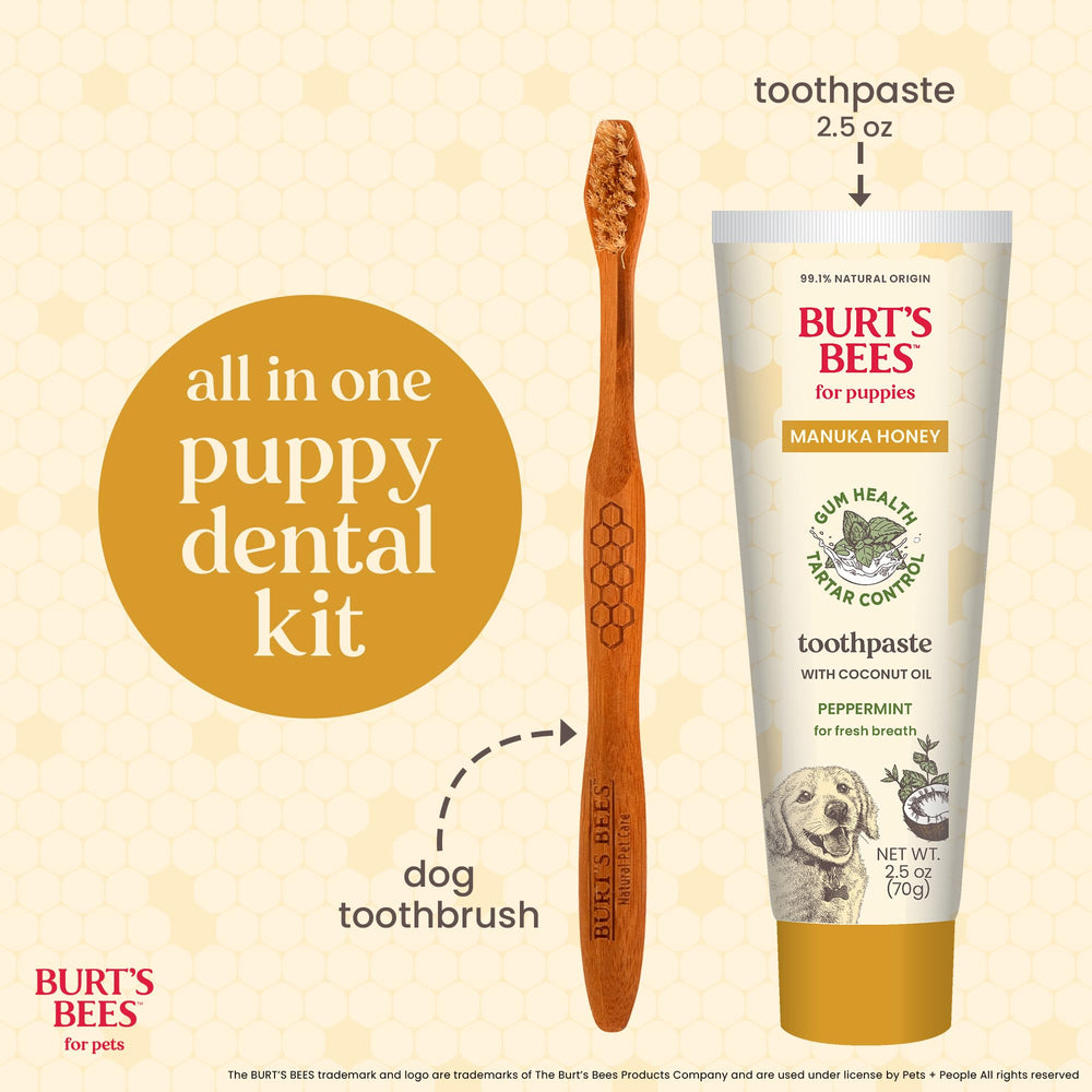 BURT'S BEES FOR PETS brosse en bambou tenue en main, prise ergonomique pour contrôle facile