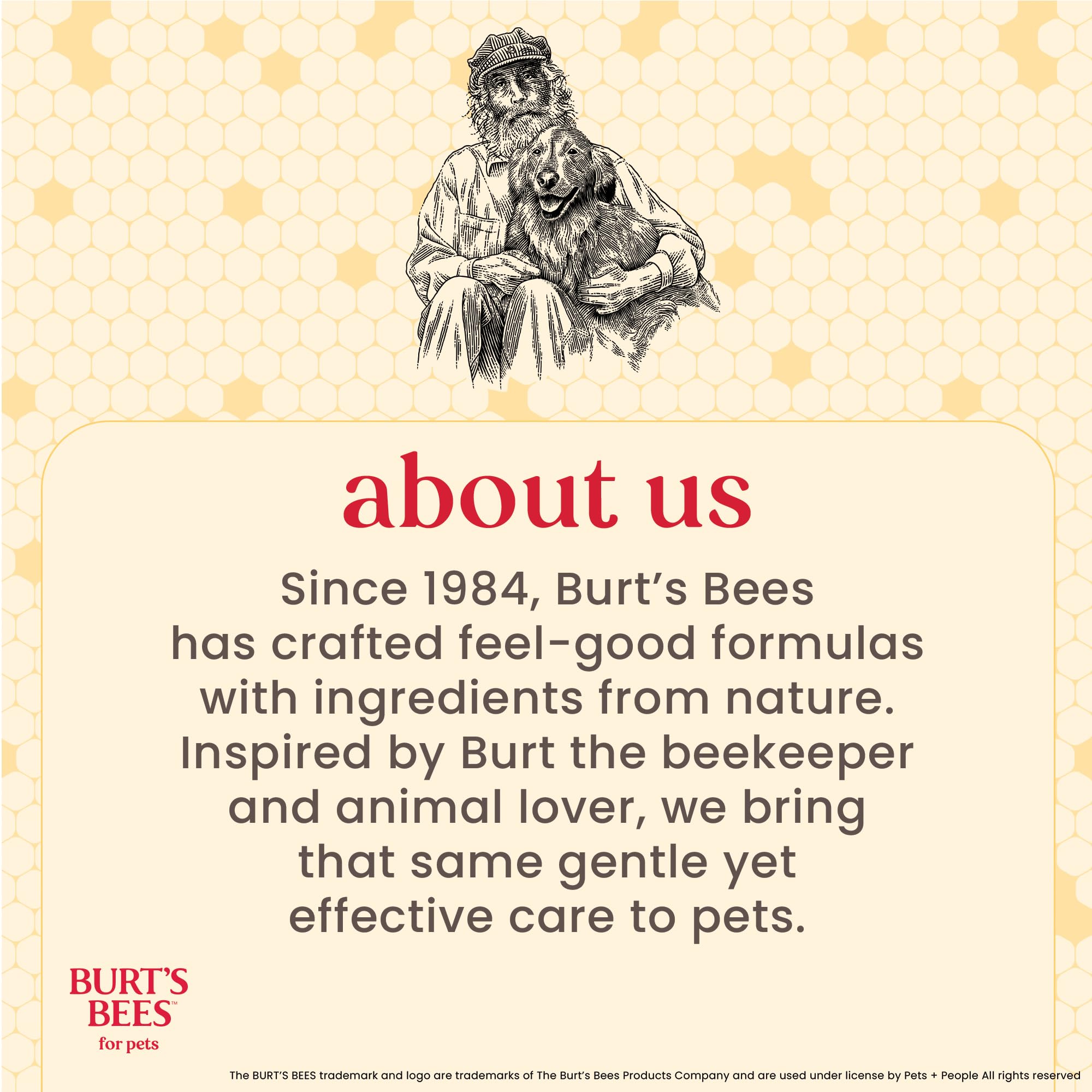 BURT'S BEES FOR PETS gros plan des poils doux de la brosse, confort pour gencives sensibles