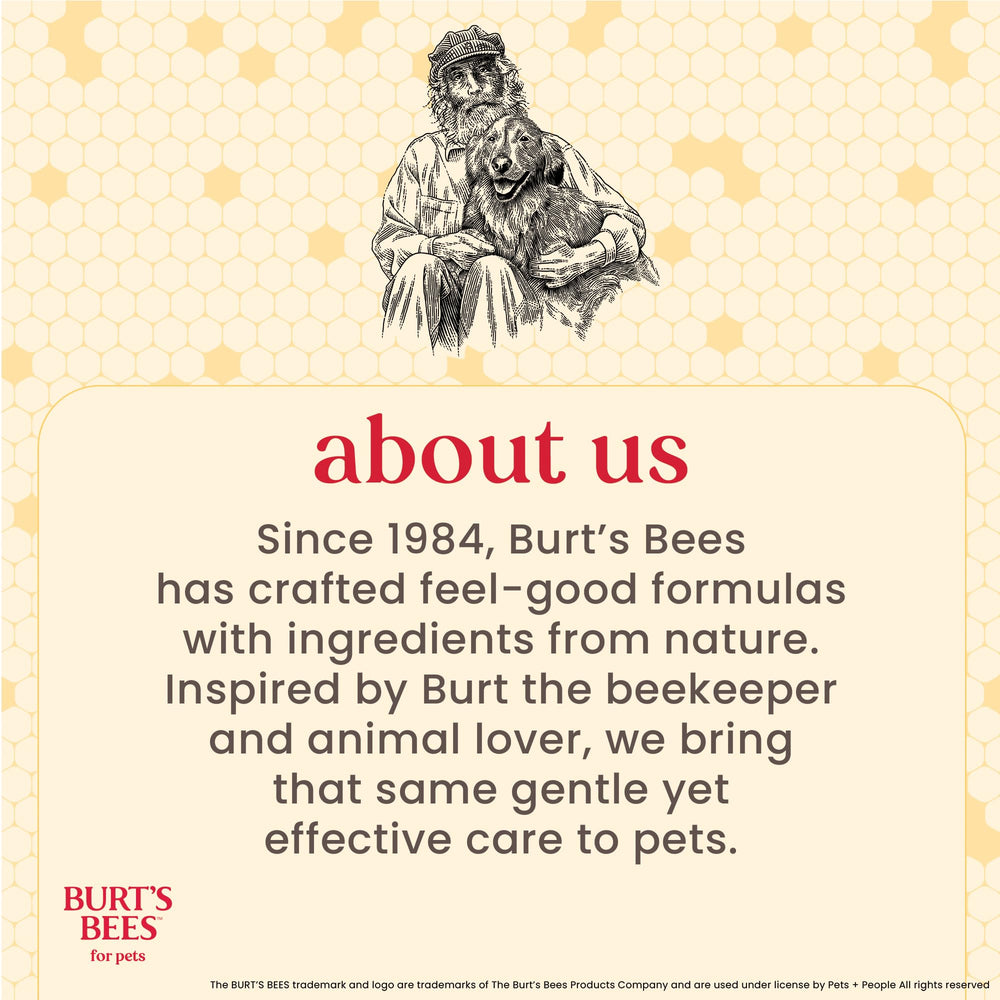 BURT'S BEES FOR PETS gros plan des poils doux de la brosse, confort pour gencives sensibles