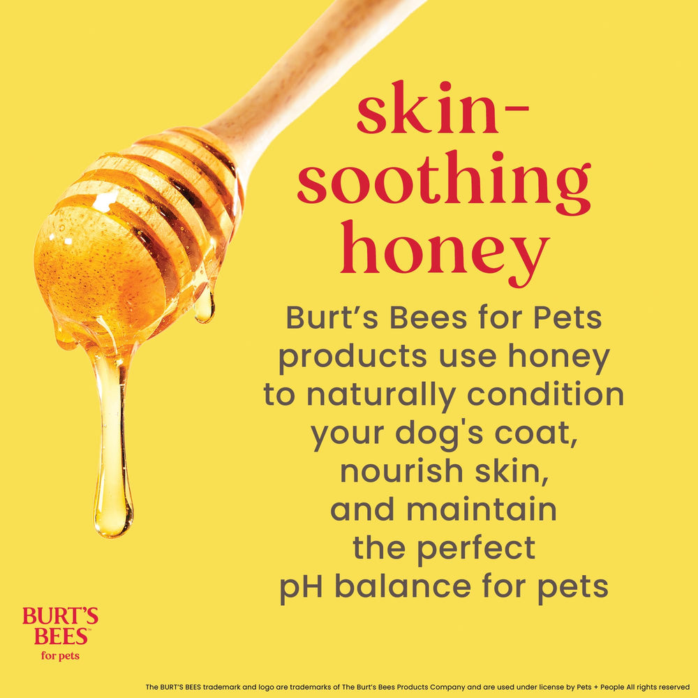 BURT'S BEES FOR PETS application sur chien montrant nettoyage et soin du pelage