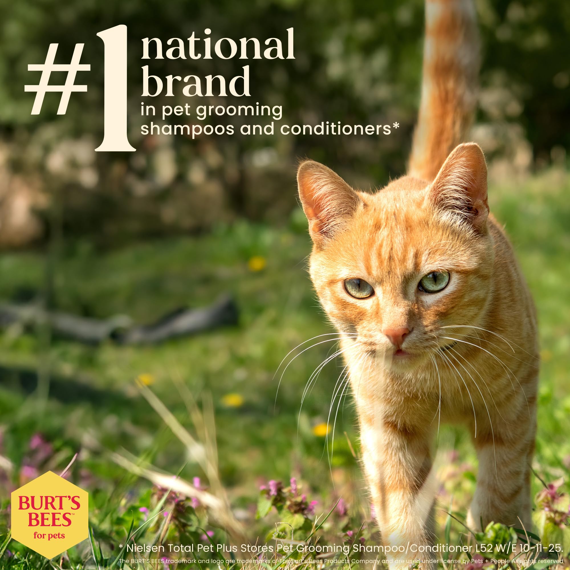 BURT'S BEES FOR PETS flacon tenu en main pour comparaison de taille