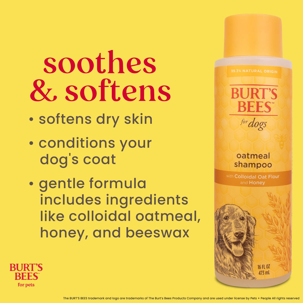 Burts Bees for Pets gros plan texture du shampooing pour un rinçage facile