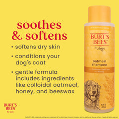 Burts Bees for Pets gros plan texture du shampooing pour un rinçage facile