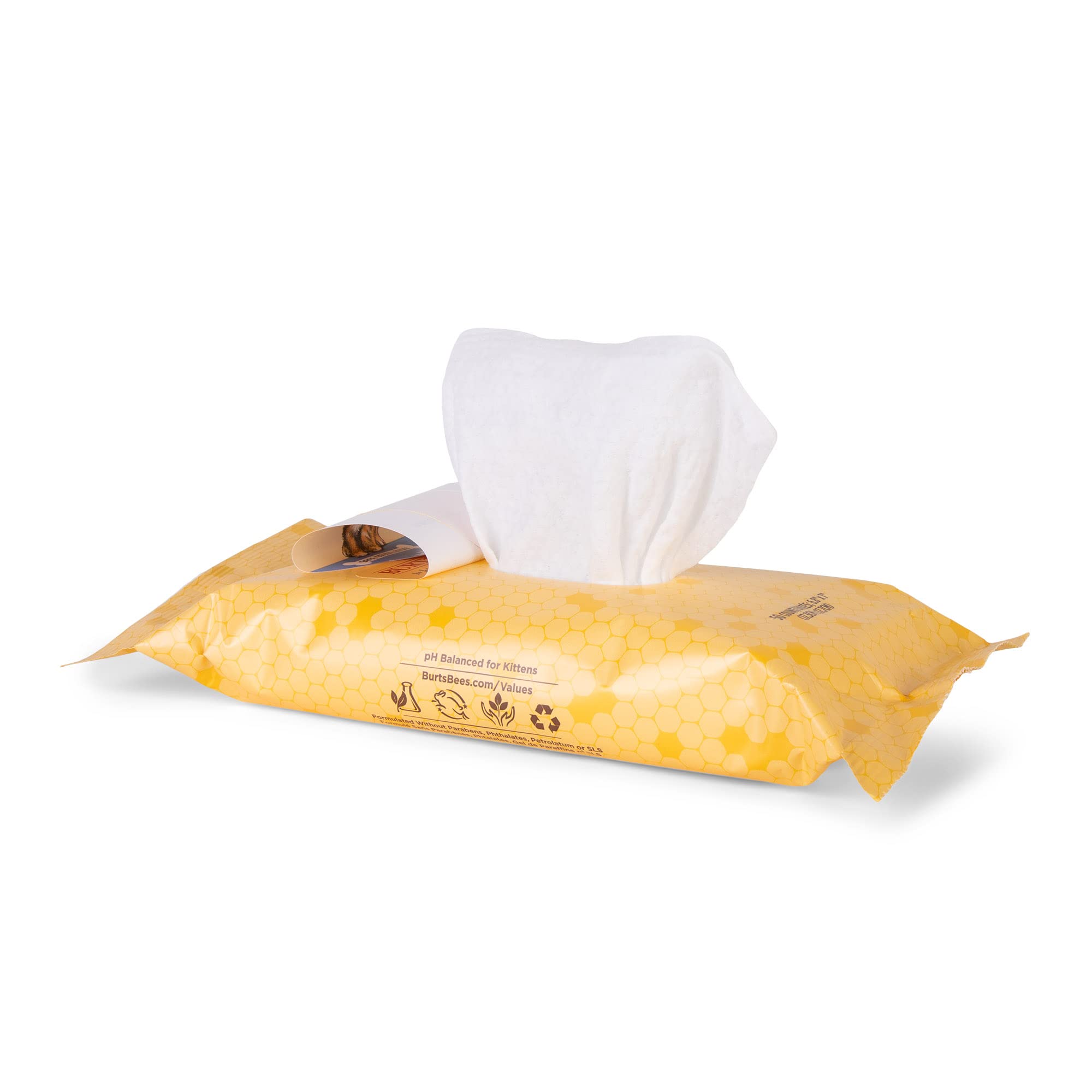 BURT'S BEES FOR PETS lingette dans main montre taille pratique pour usage quotidien