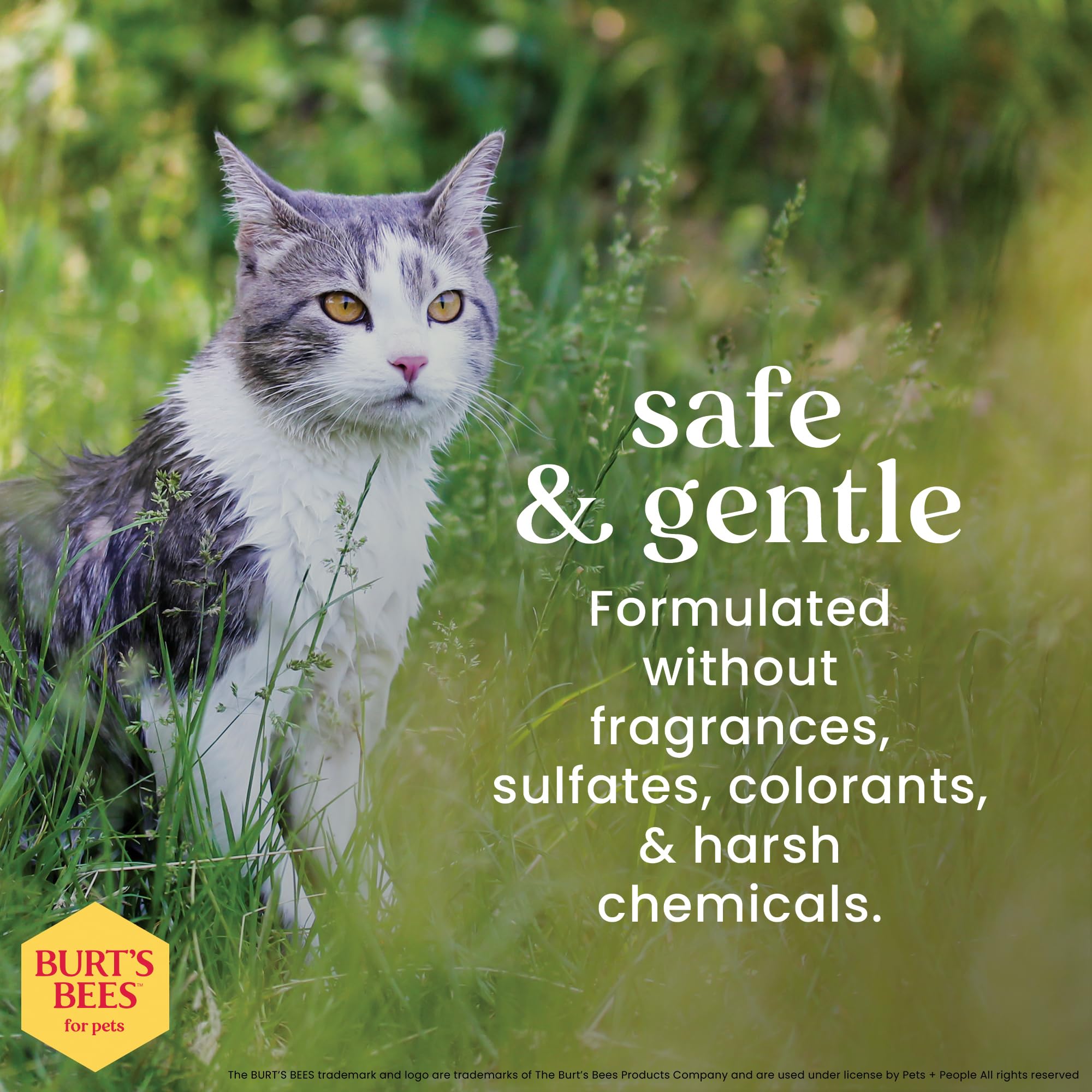 BURT'S BEES FOR PETS lingette tenue en main nettoyant pelage pour un toilettage rapide