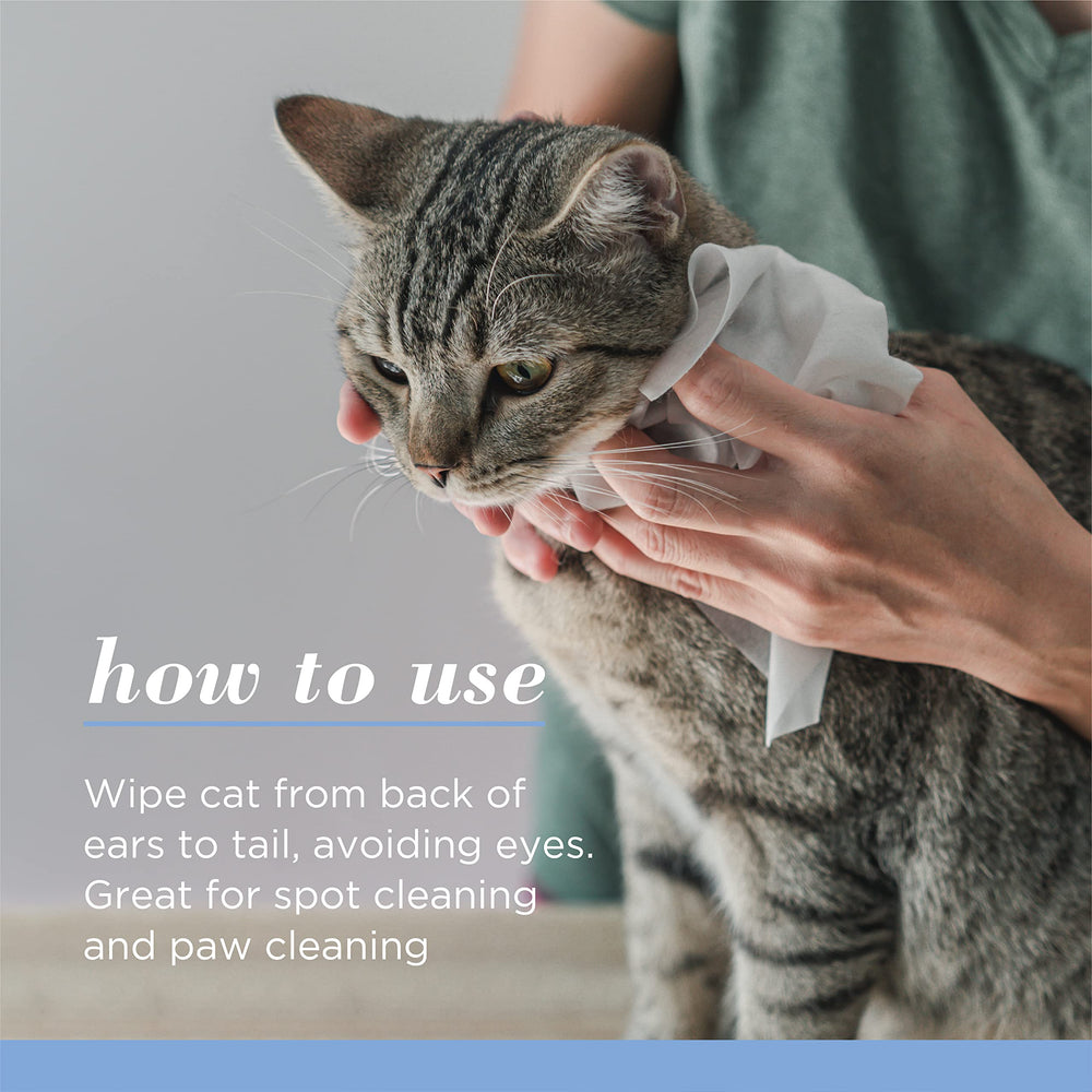 BURT'S BEES FOR PETS lingette sur pattes de chat nettoie coussinets efficacement