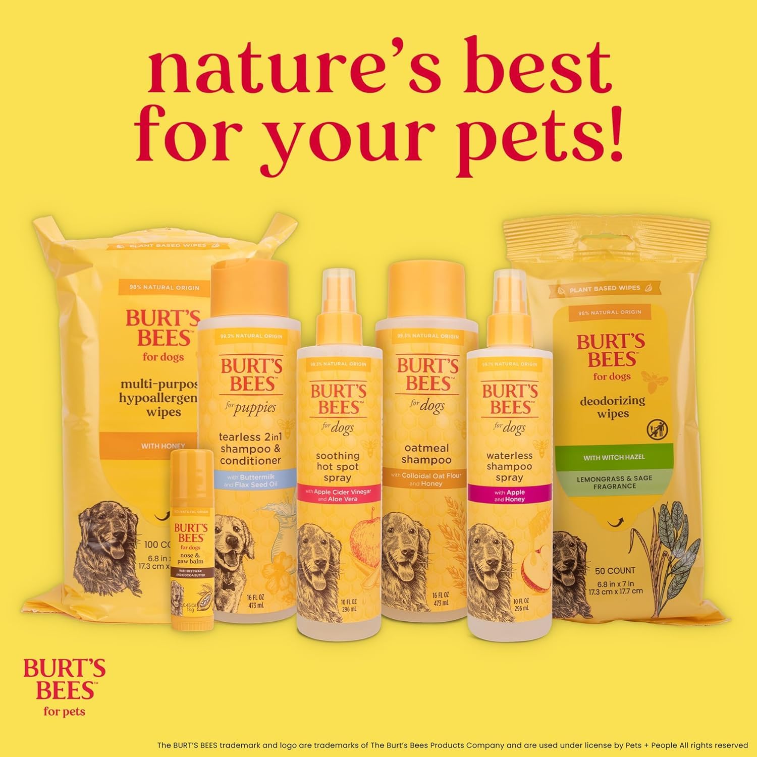 BURT'S BEES FOR PETS pack posé près d'une laisse pour usage domestique