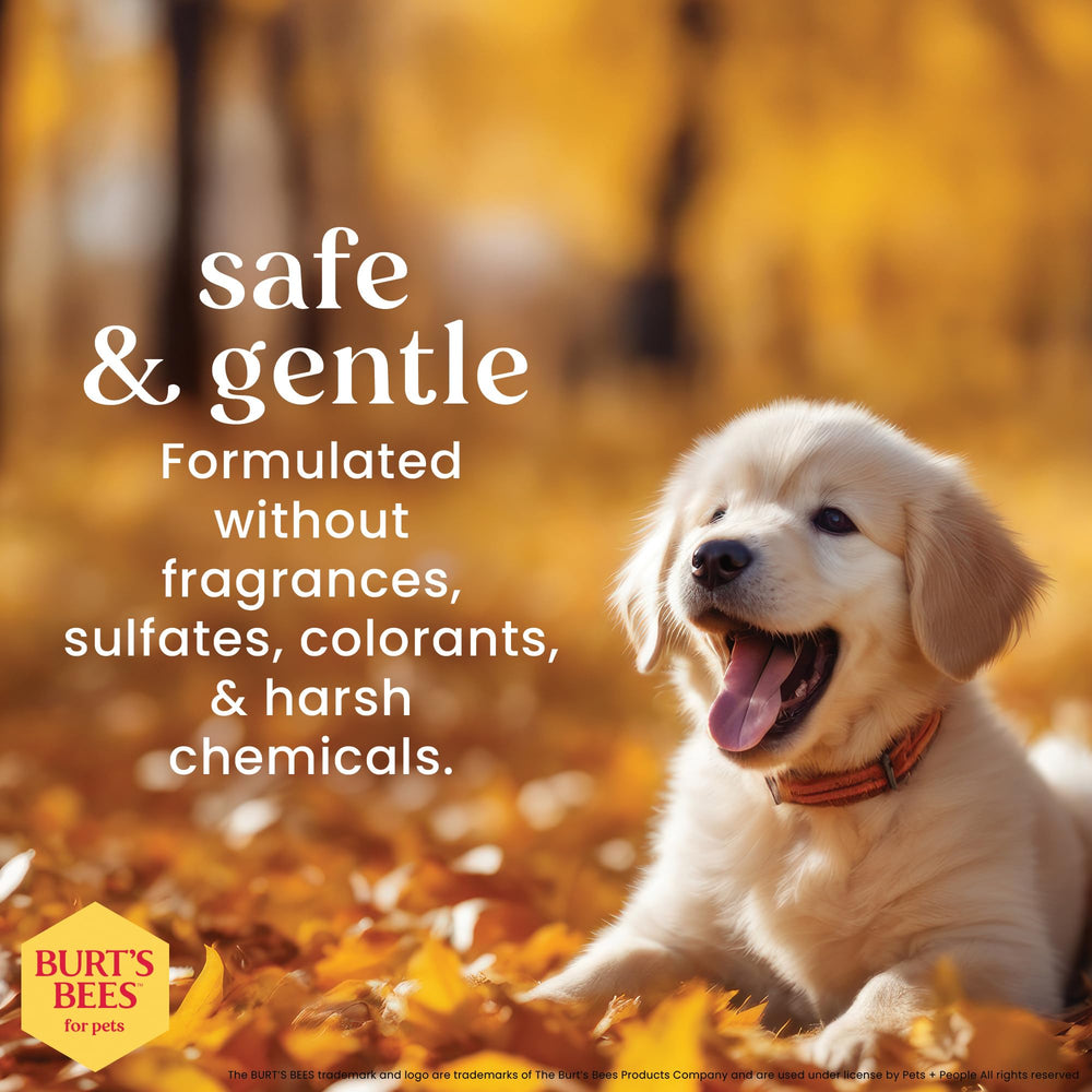 BURT'S BEES FOR PETS faible mousse facilitant le rinçage et nettoyant efficace