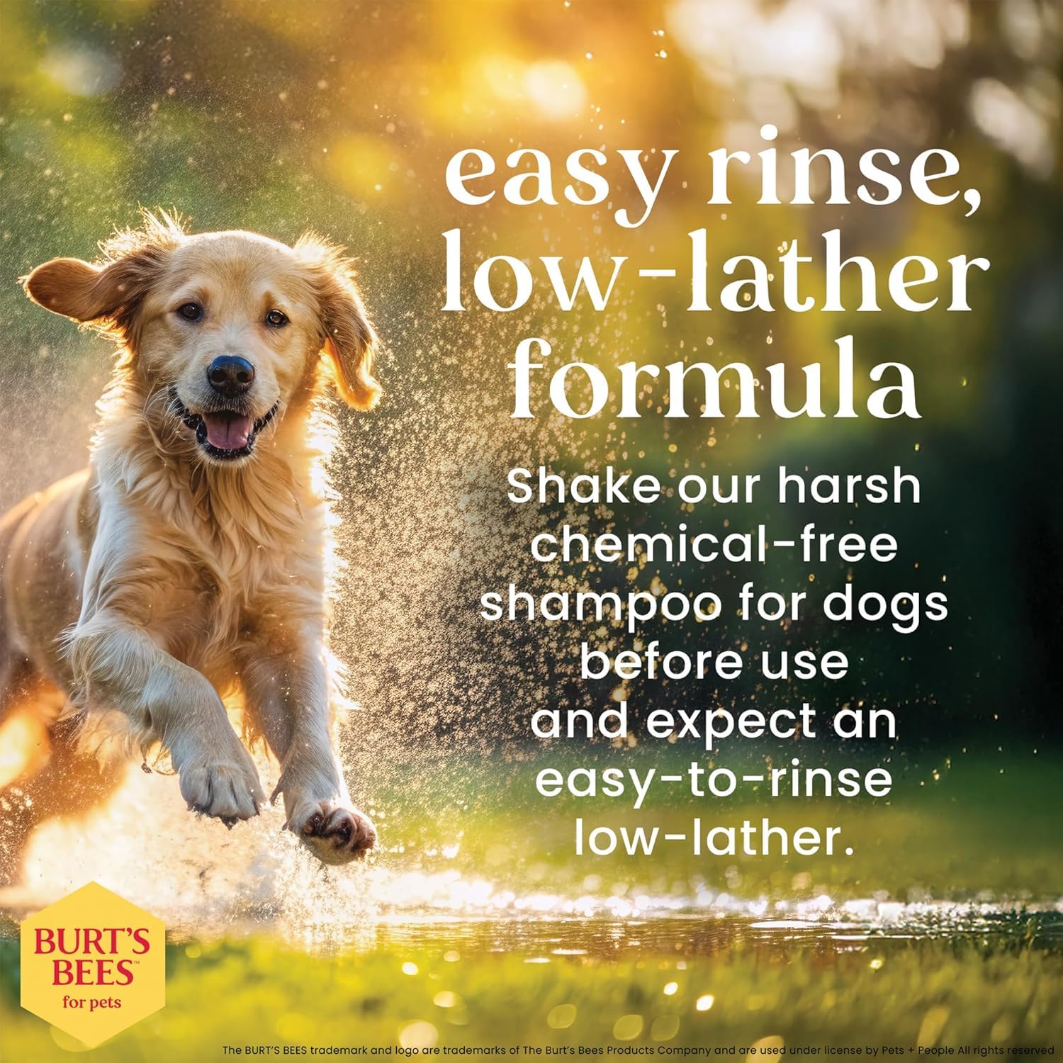 Burt's Bees for Pets shampooing appliqué sur chien pour nettoyage efficace
