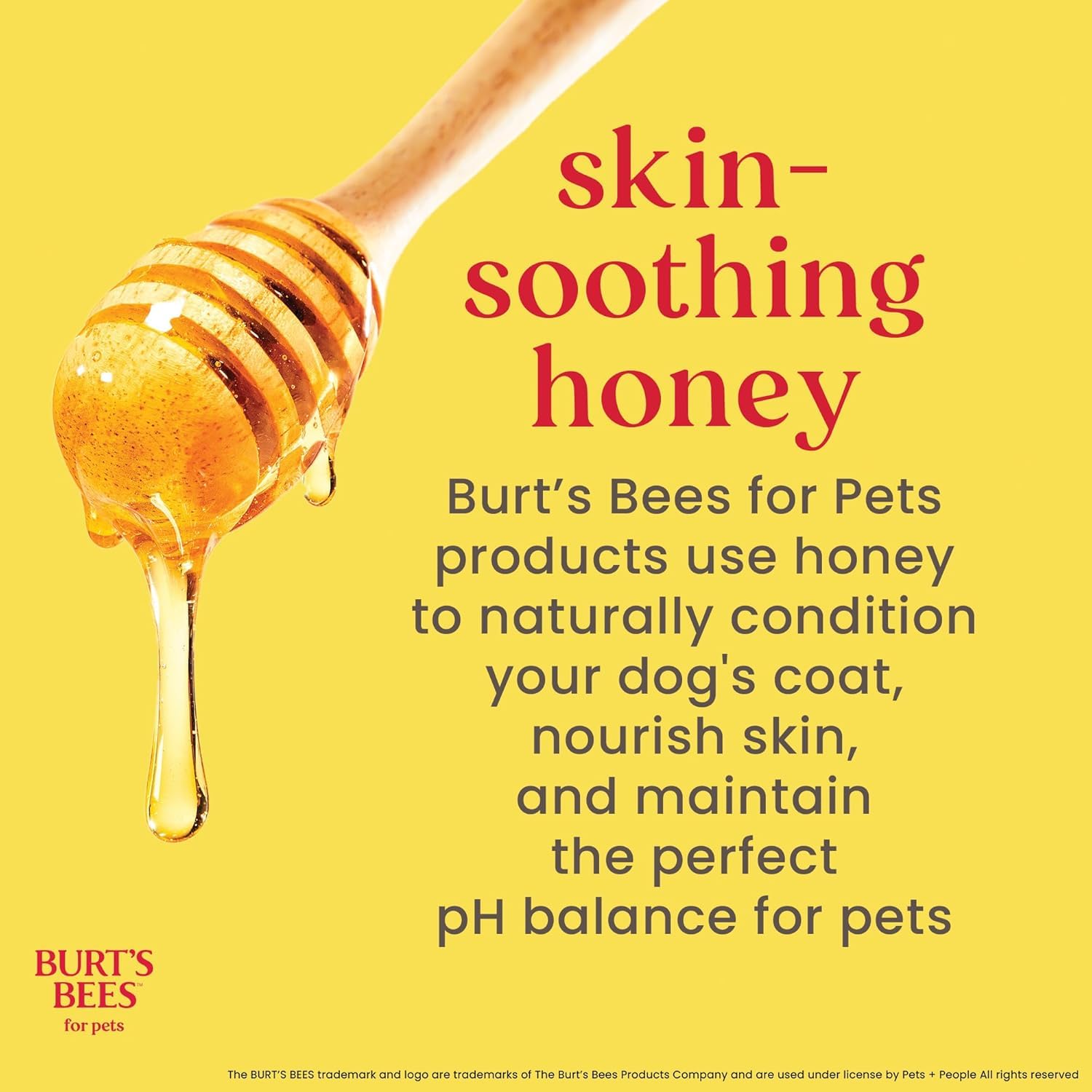 Burt's Bees for Pets miel en goutte montrant pouvoir conditionnant du pelage
