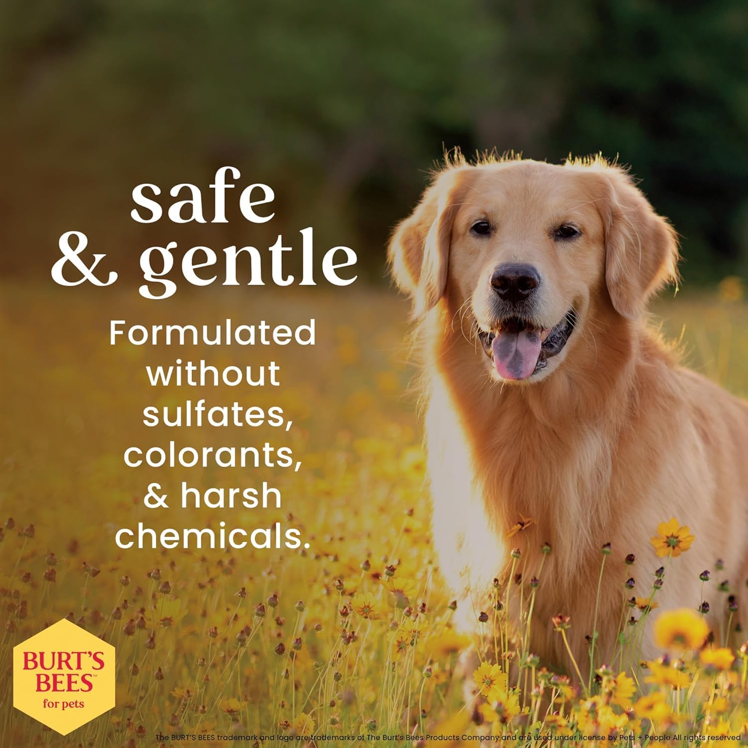 Burt's Bees for Pets pommes et romarin posés ensemble indiquant action déodorante