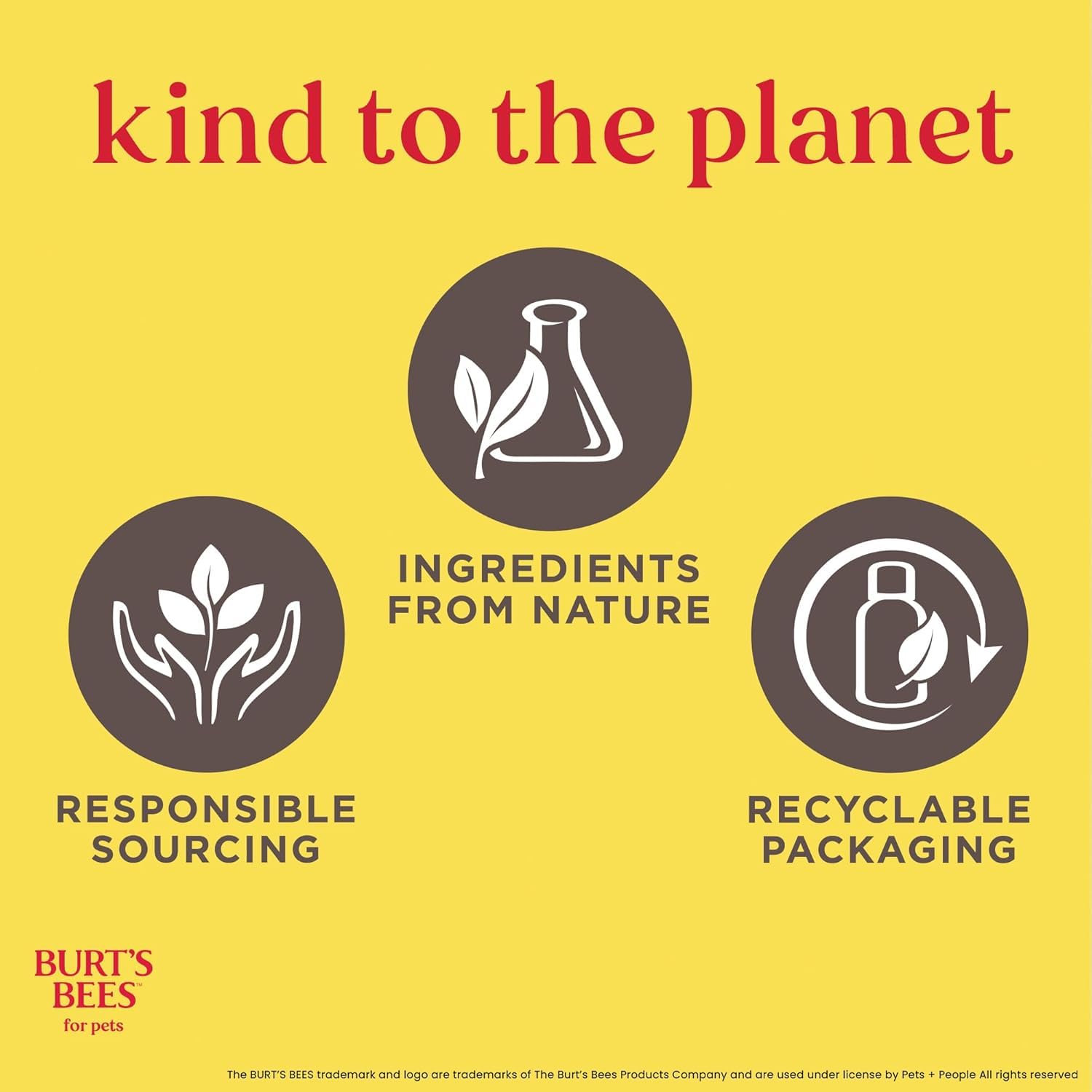 Burt's Bees for Pets pelage mouillé montrant finition douce et démêlée