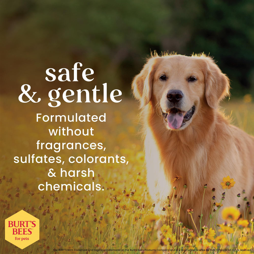BURT'S BEES FOR PETS étiquette rapprochée indiquant ingrédients et pH adapté