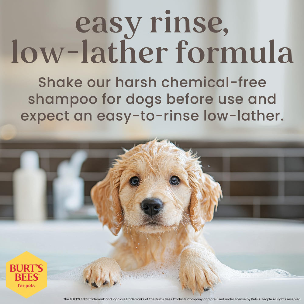 BURT'S BEES FOR PETS texture onctueuse du shampooing apaisant pour chiots