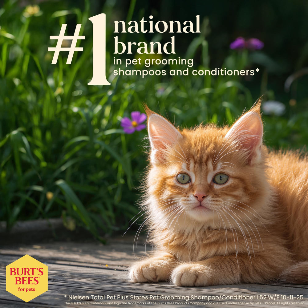 BURT'S BEES FOR PETS utilisation sur visage nettoie sans irriter