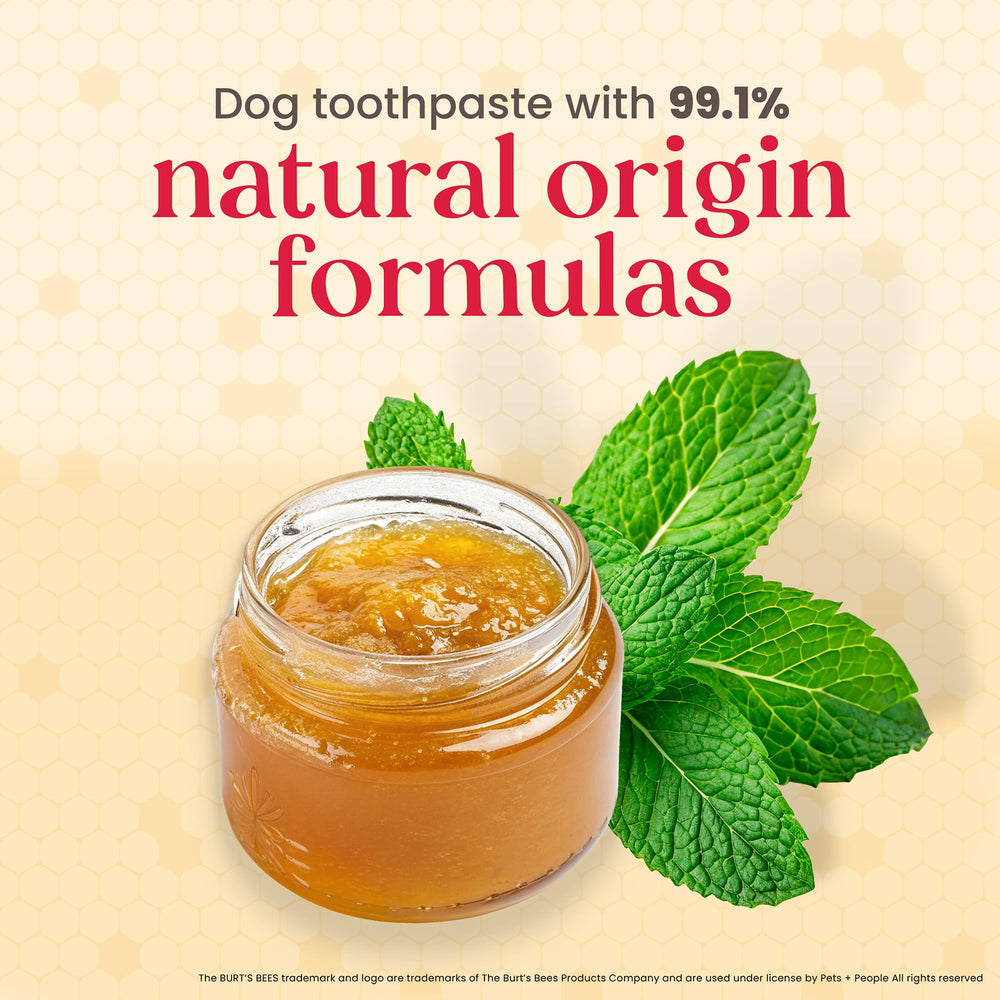 BURT'S BEES FOR PETS illustration menthe poivrée pour un goût attractif favorisant l'acceptation