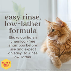 BURT'S BEES FOR PETS gros plan beurre de karité, action nourrissante