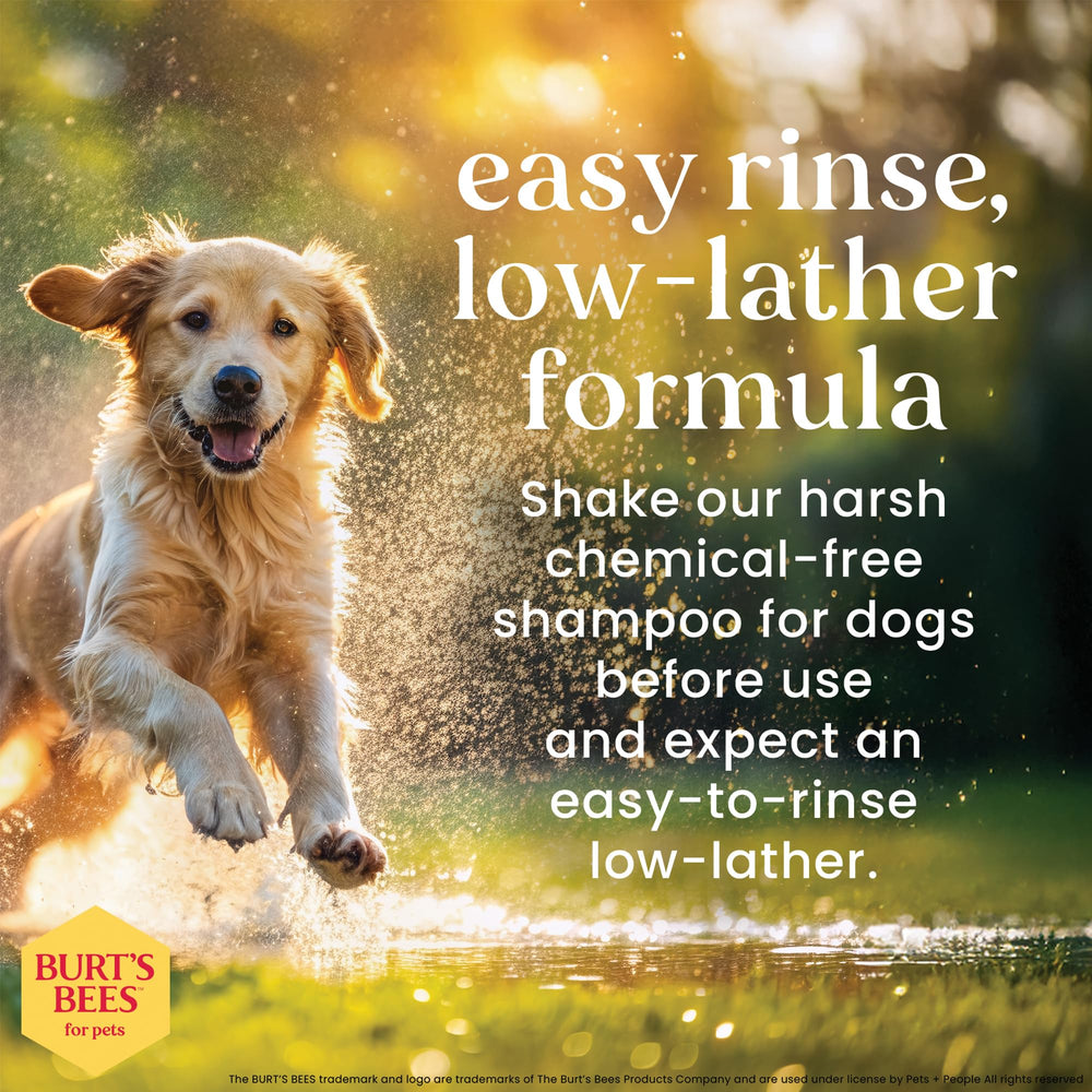 BURT'S BEES FOR PETS texture du shampooing montrant faible mousse et rinçage facile