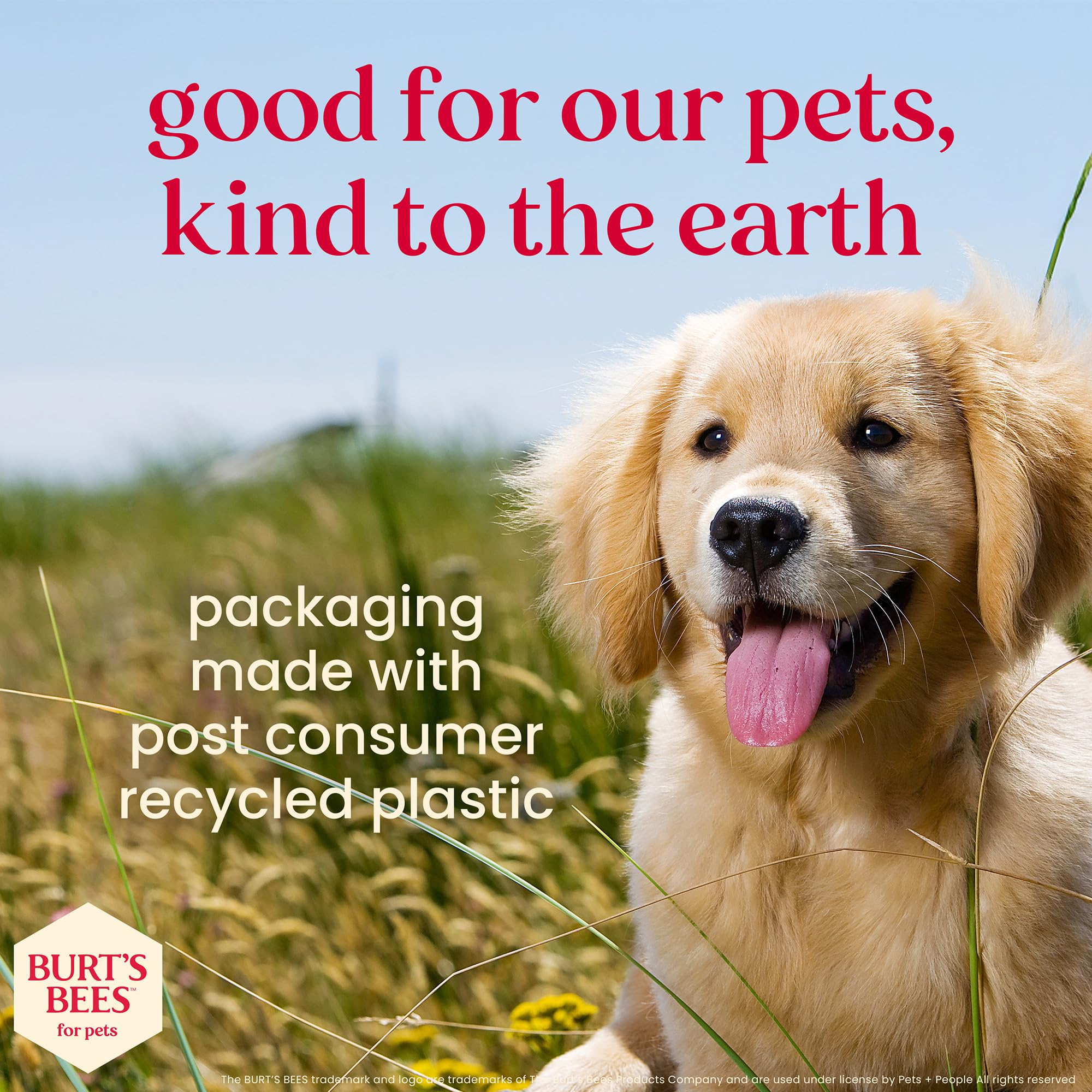 BURT'S BEES FOR PETS comparaison taille du kit à une main pour visualiser l'échelle