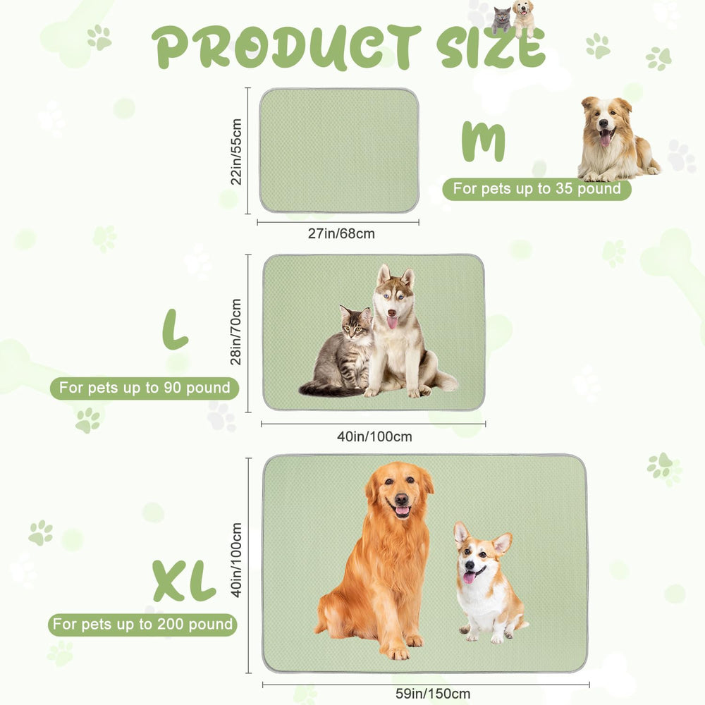 Buvlnee comparaison taille avec chat montrant espace de couchage adapté