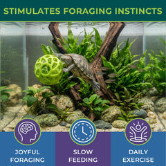 BUYBYLOV balle flottant dans aquarium stimule activité