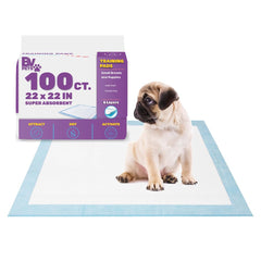 BV tapis avant emballage montrant paquet de 100 et gain de temps