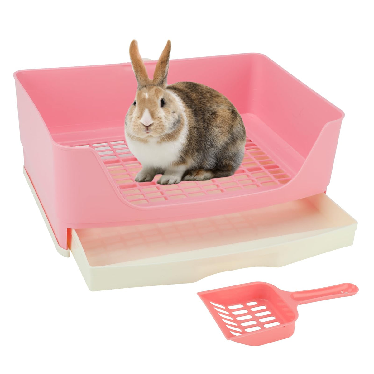 BWOGUE bac litière face avant rose montrant espace confortable pour lapin