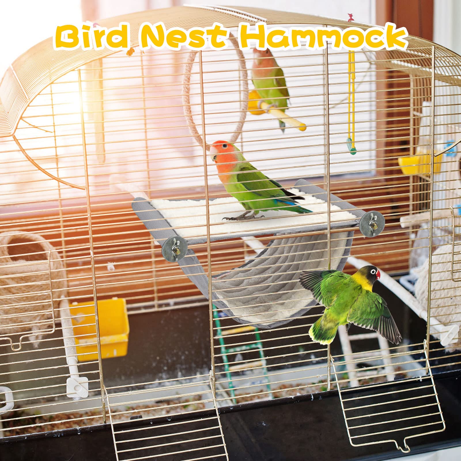 BWOGUE oiseau utilisant le hamac, stimulation et divertissement visibles
