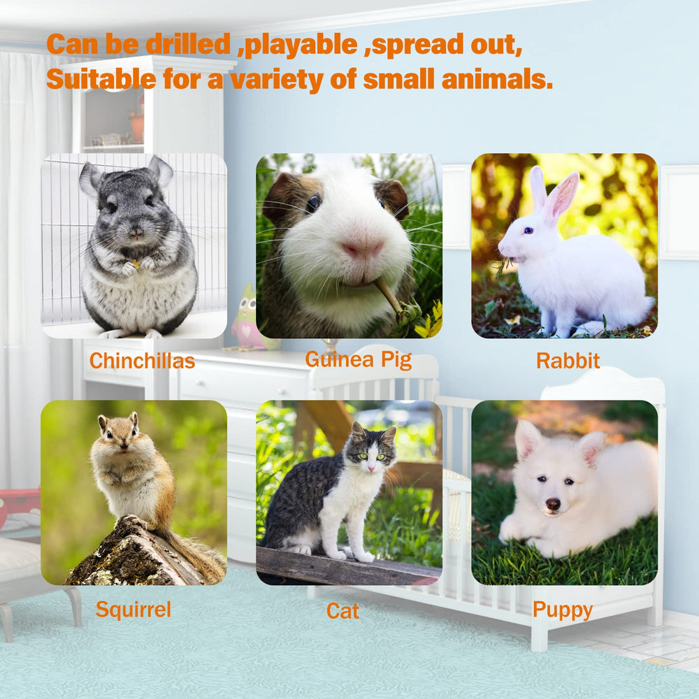BWOGUE comparaison échelle avec main montrant taille adaptée petits animaux