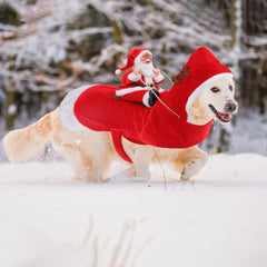 BWOGUE grand chien portant costume en promenade, rend les fêtes plus joyeuses