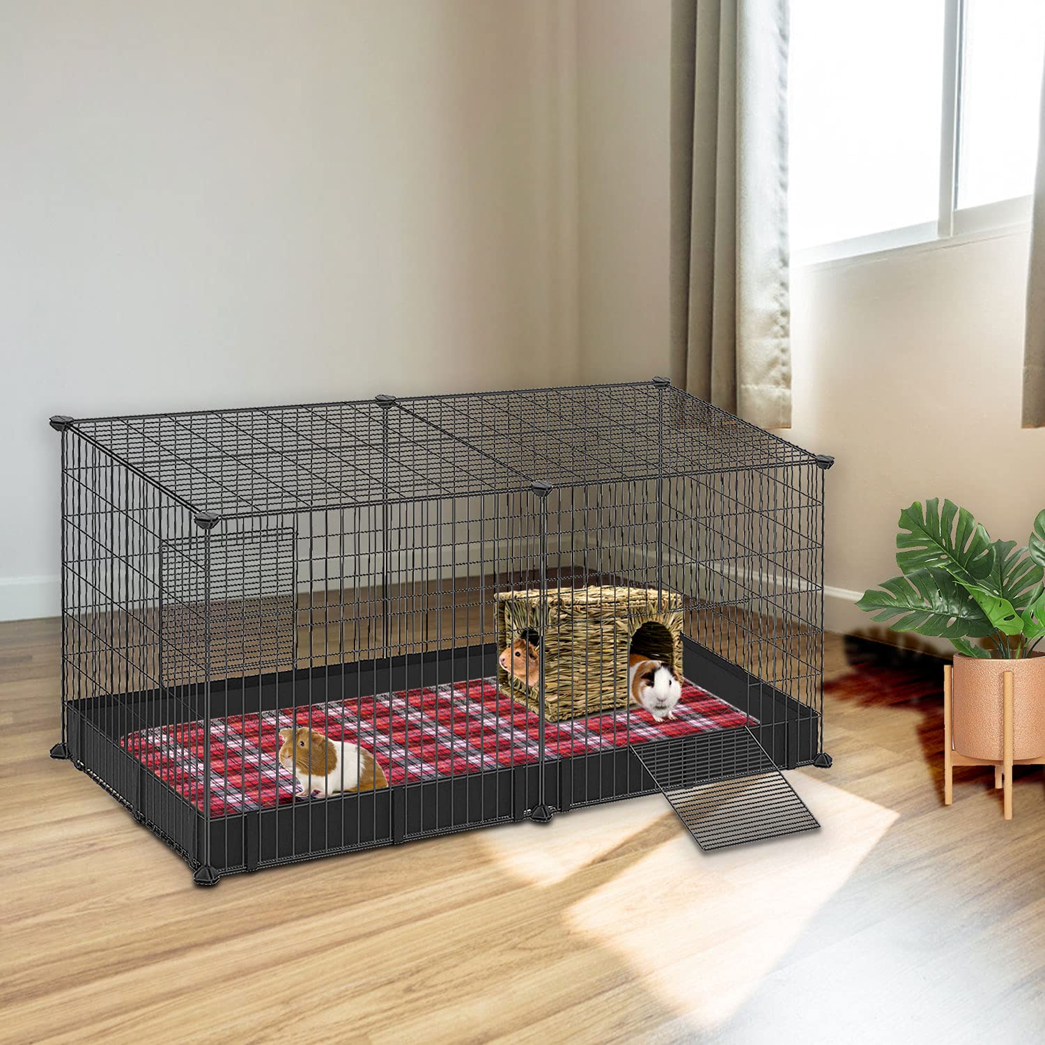 BWOGUE mise en scène intérieure intégrée dans cage et décor naturel