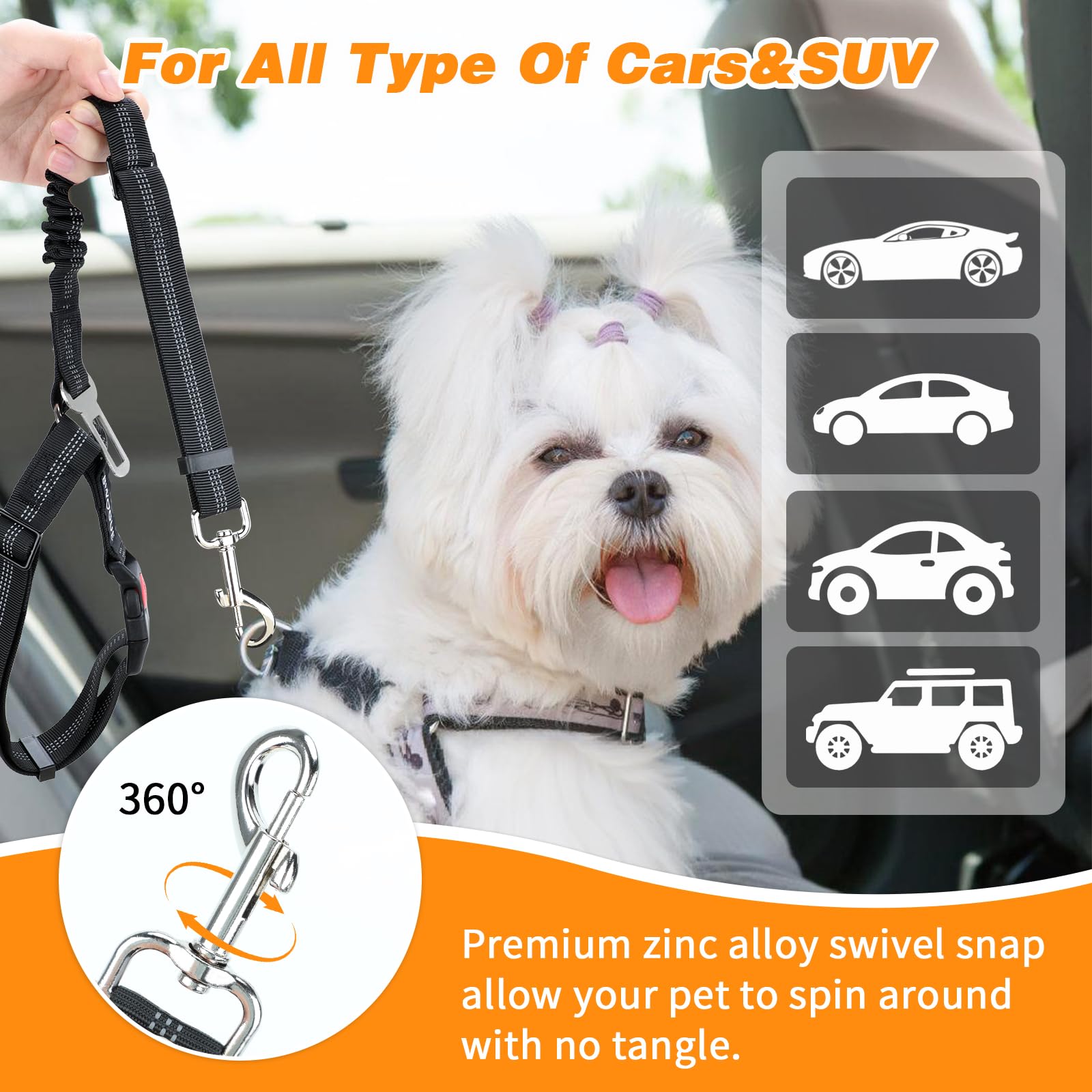 BWOGUE chien assis sécurisé en voiture pour trajets sereins