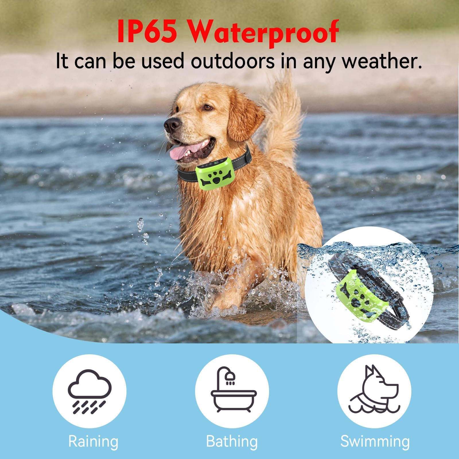 BXQ collier immergé montrant étanchéité IP65 pour promenades sous la pluie