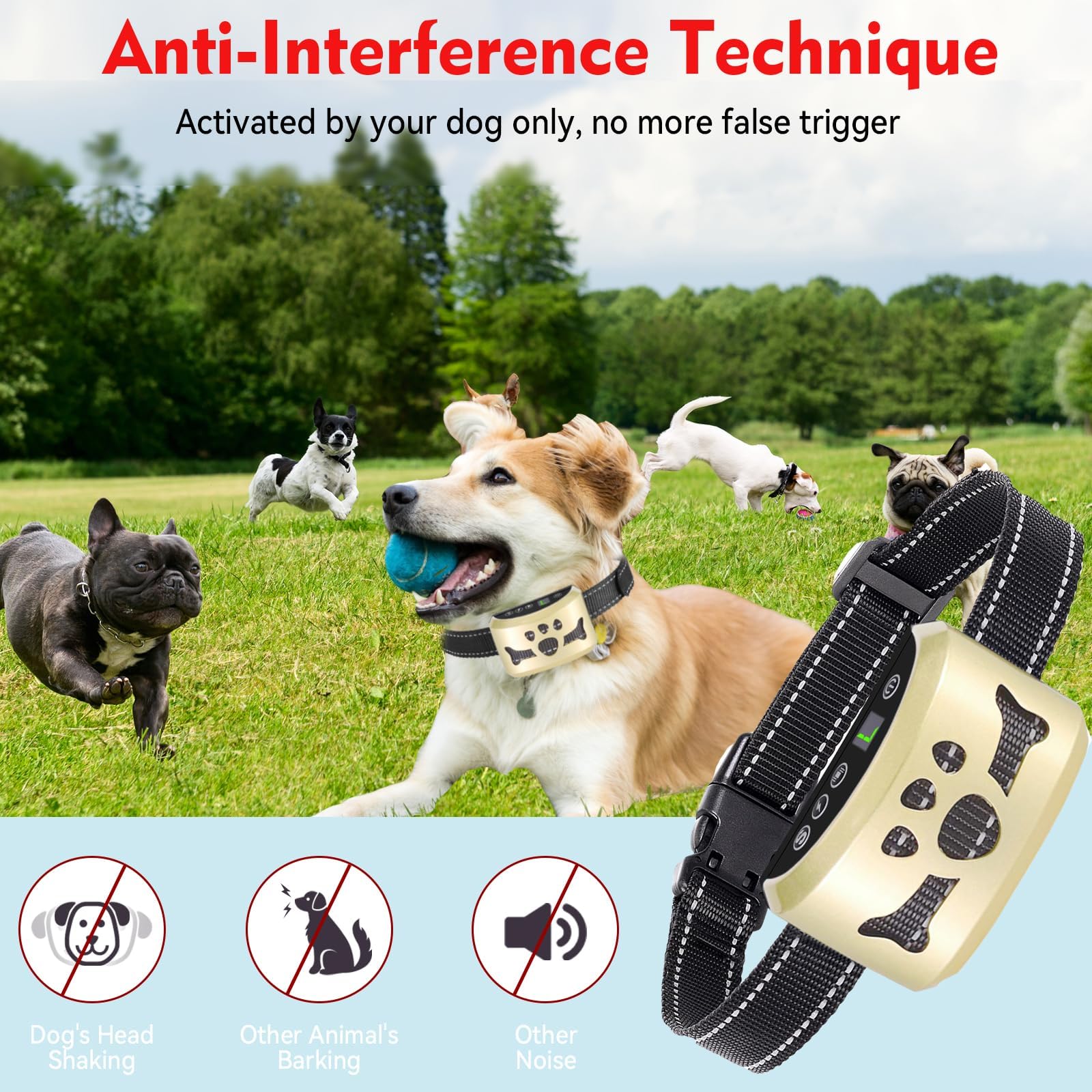 BXQ collier zoom capteurs montrant reconnaissance sonore pour réduire faux-positifs