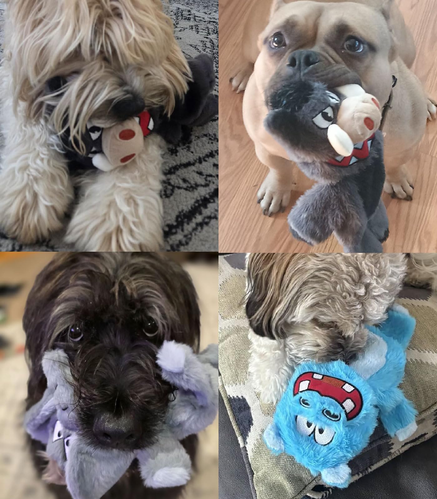 Bzonsmart chiot jouant avec un jouet, favorise mastication saine