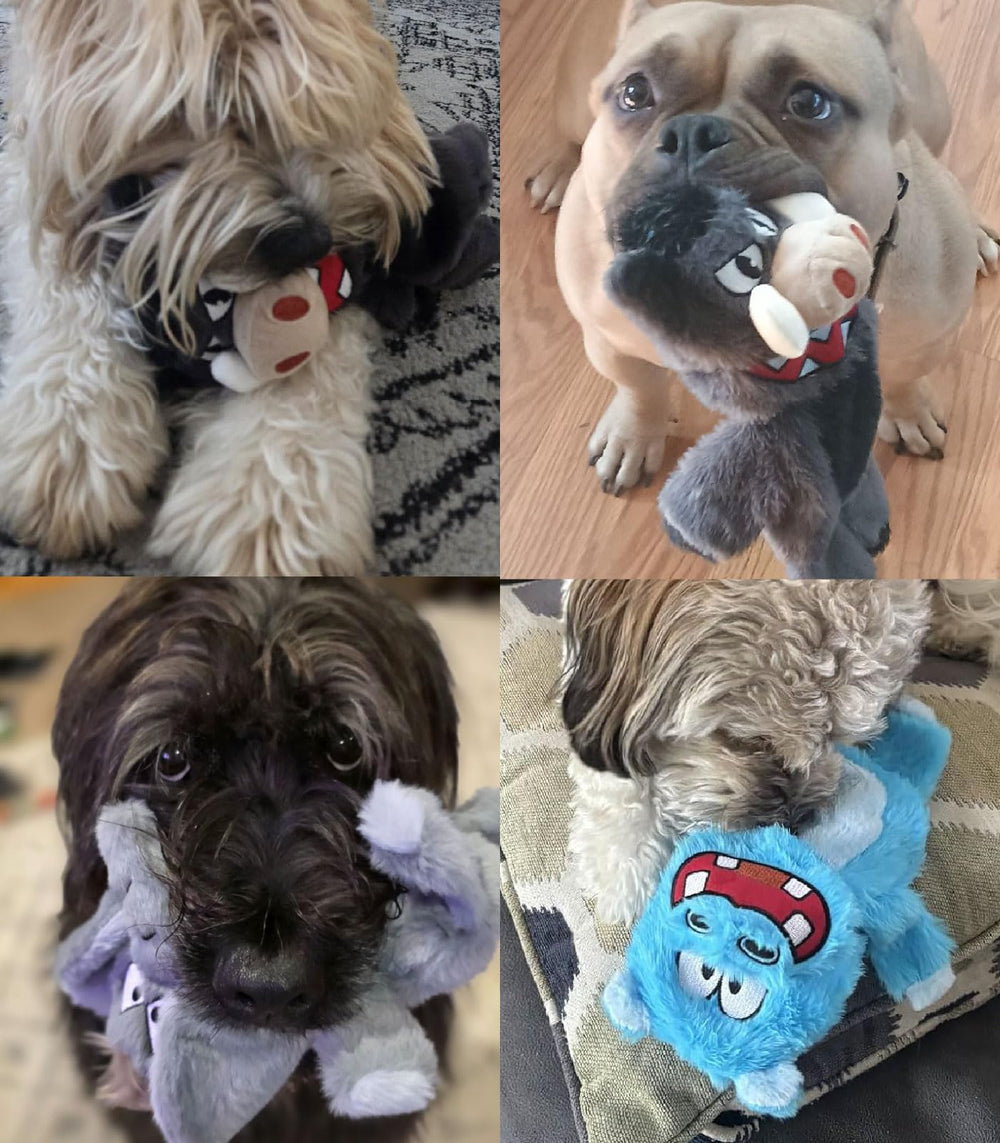 Bzonsmart chiot jouant avec un jouet, favorise mastication saine