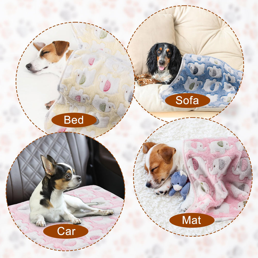 CADONO chien reposant sur couverture sur canapé protection et confort