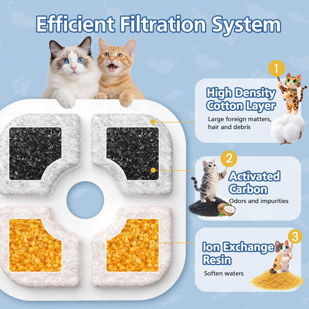 Caehomly coupe transversale du filtre montrant couches de filtration efficaces